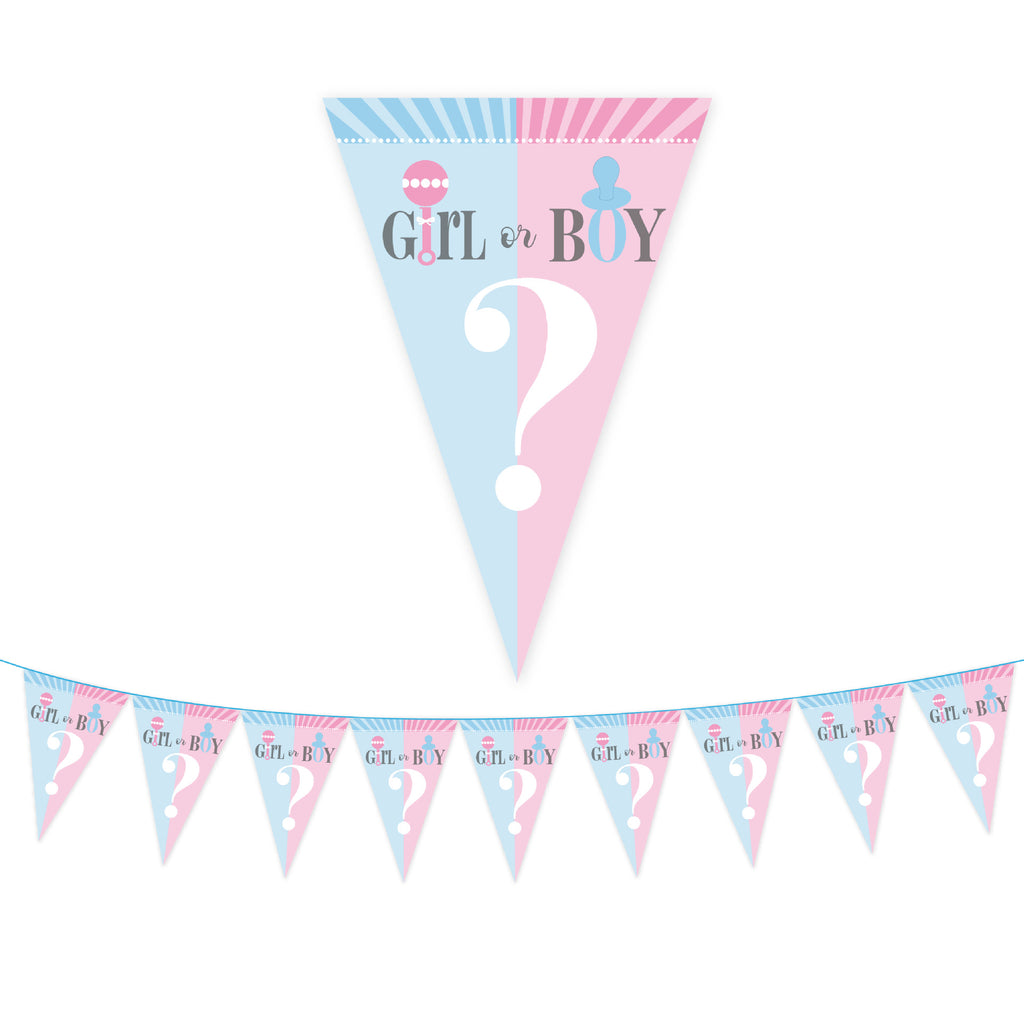 Gender Reveal Party Kit 🎀💙