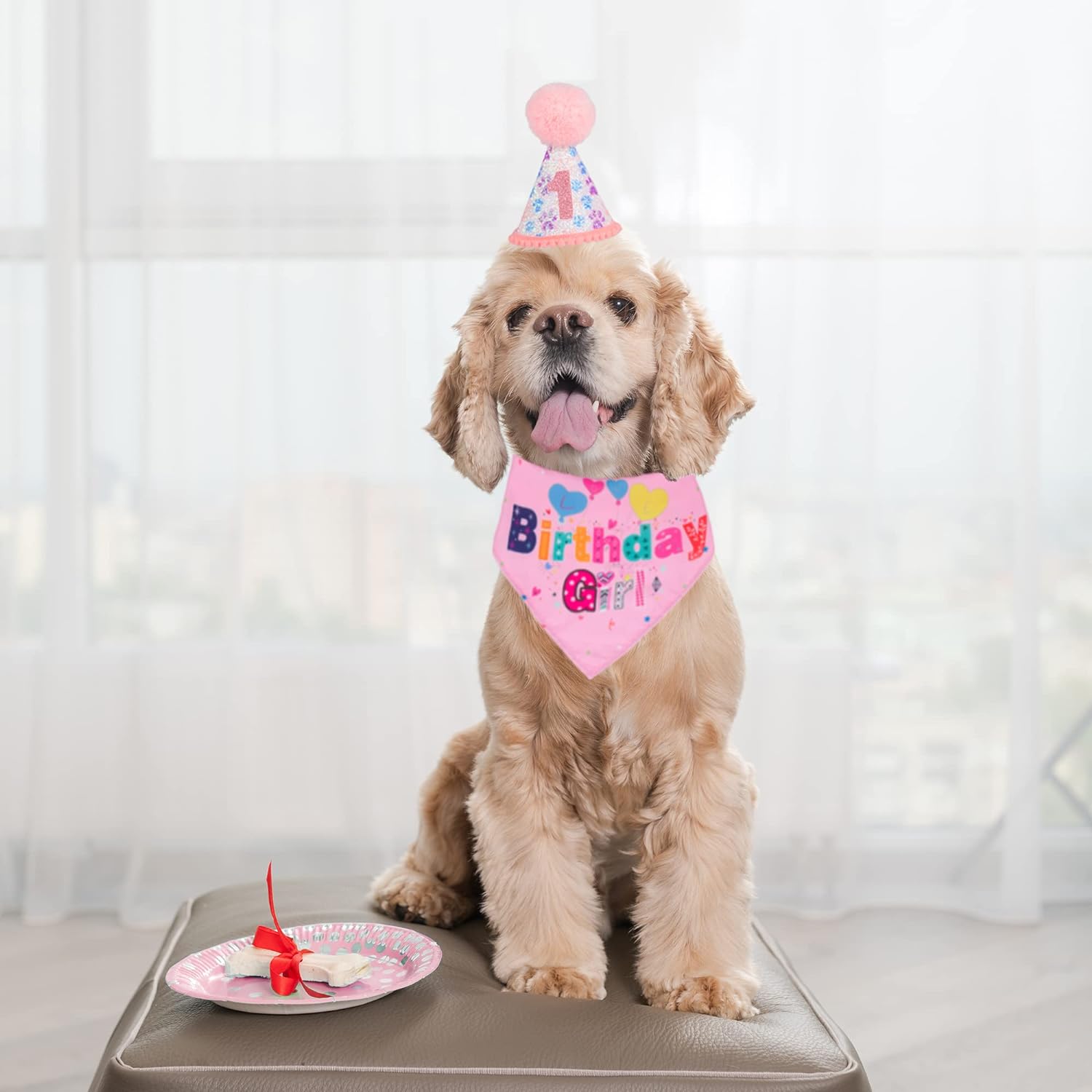 Dog Birthday Bandana Set 🐕