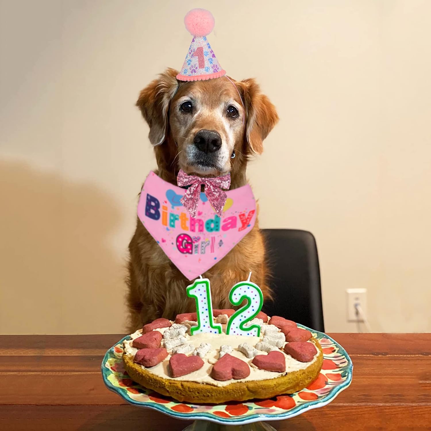 Dog Birthday Bandana Set 🐕