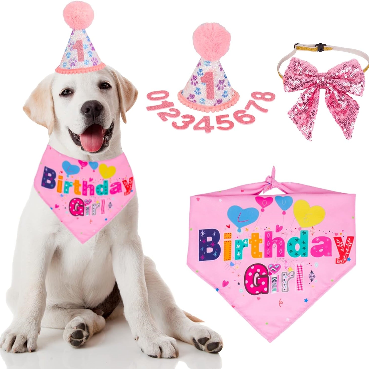 Dog Birthday Bandana Set 🐕