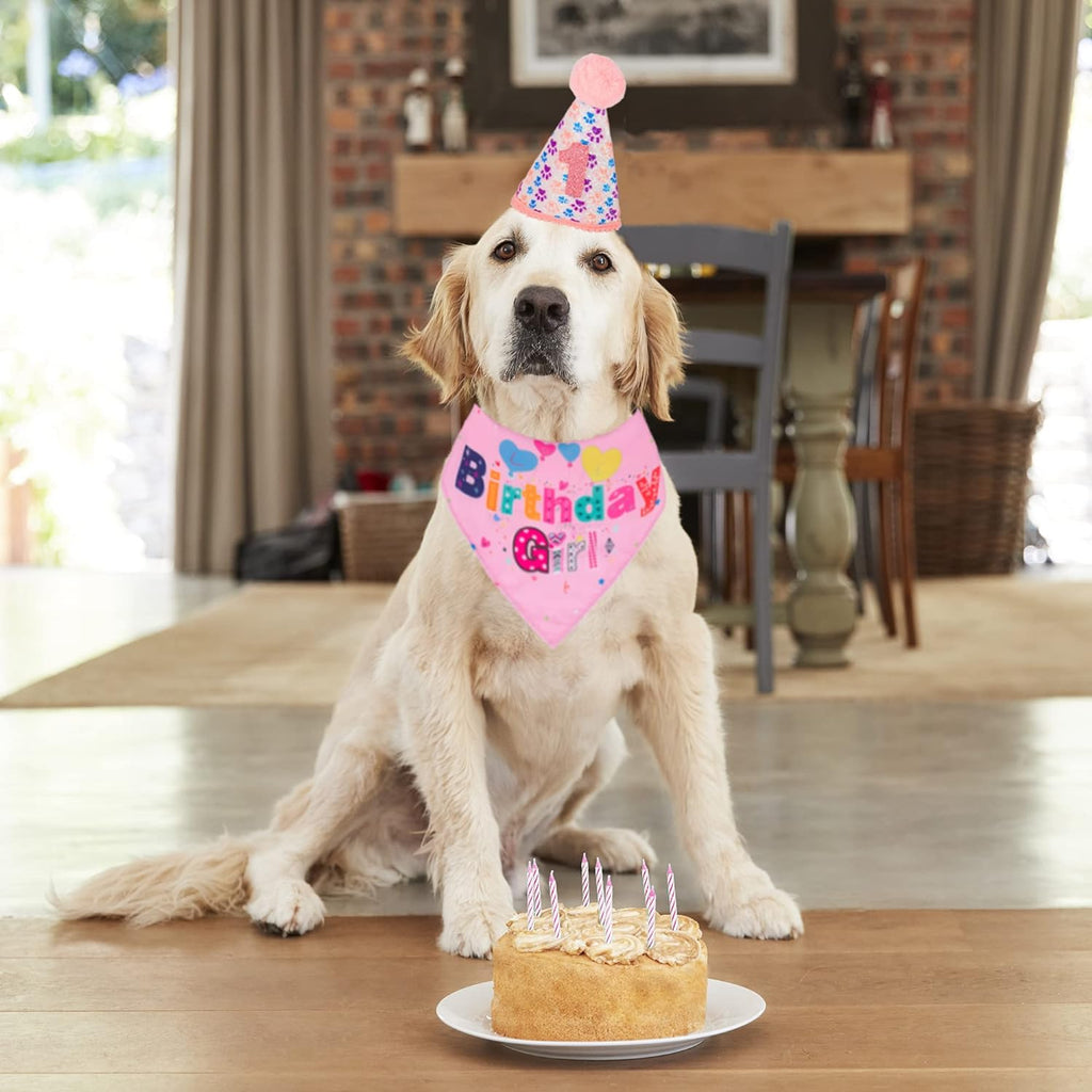 Dog Birthday Bandana Set 🐕