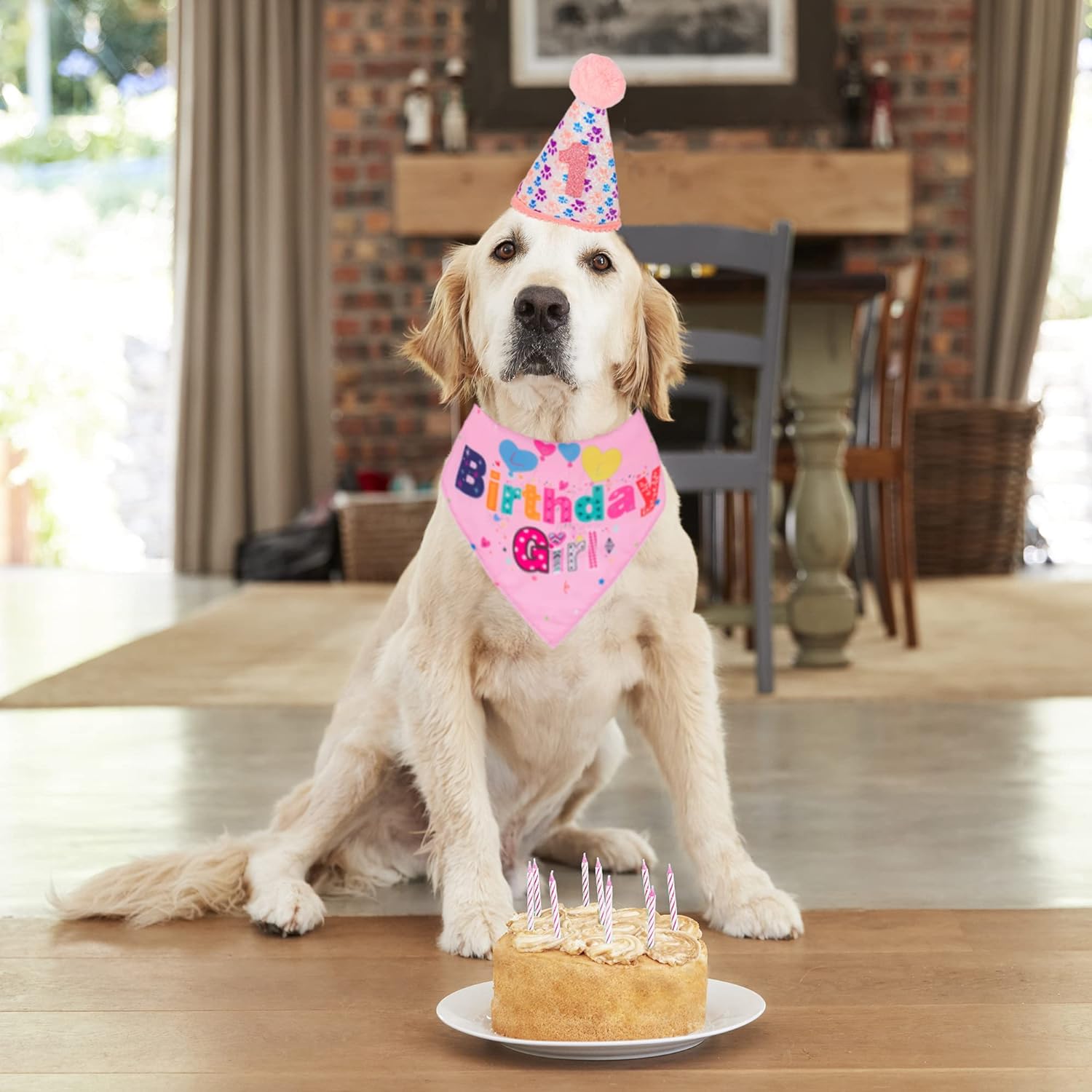 Dog Birthday Bandana Set 🐕