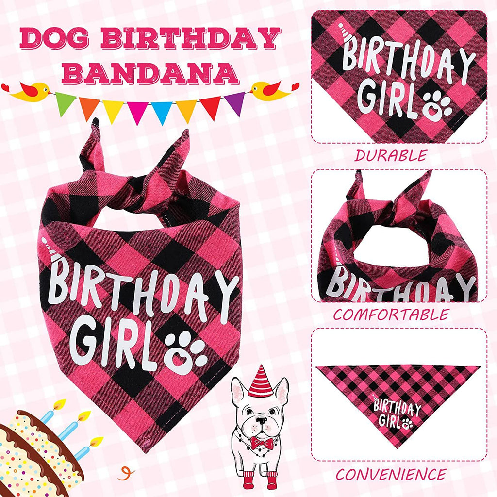 Pet Party Set — Hat, Scarf & Banner 🐾
