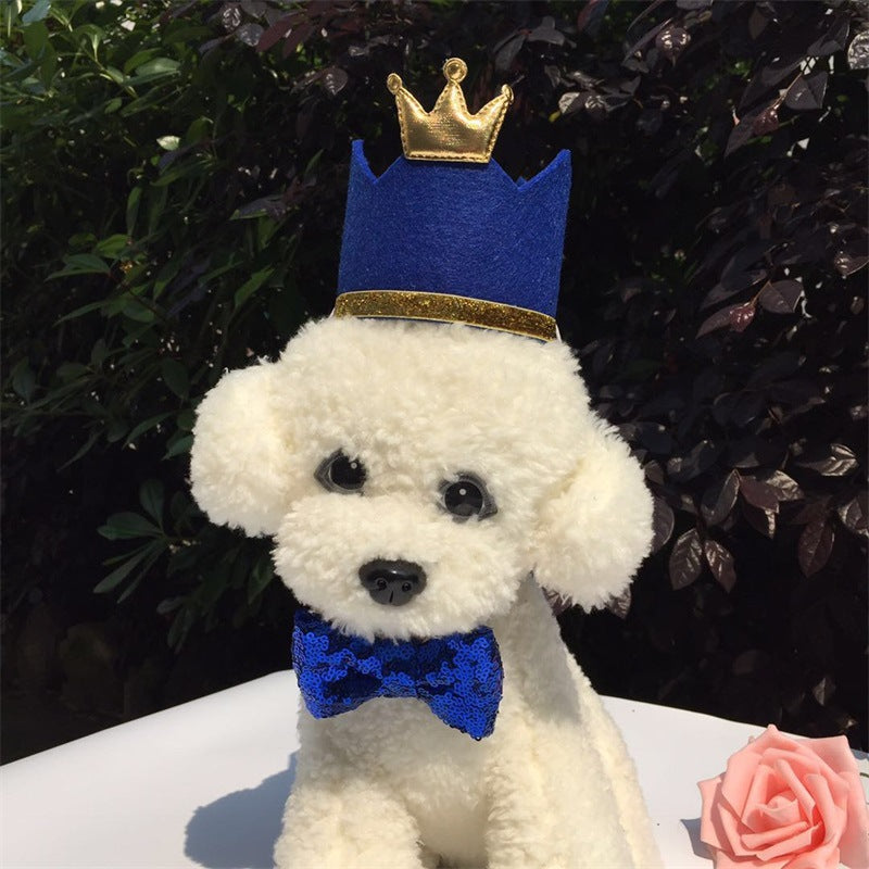 Pet Birthday Party Hat 🎂🐾
