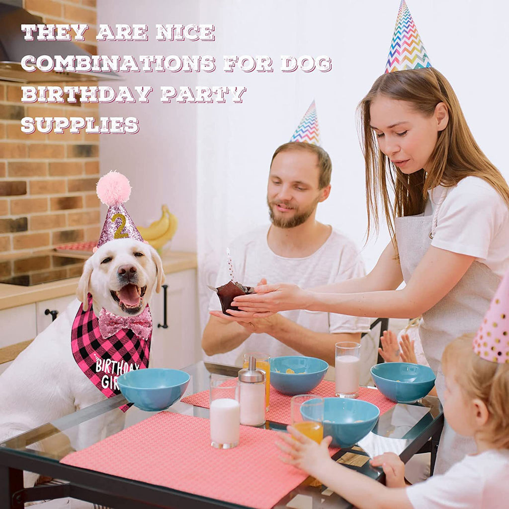 Pet Party Set — Hat, Scarf & Banner 🐾